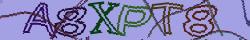 Retype the CAPTCHA code from the image